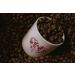 Blended Gift Box - Roasted Coffee Starter Set (Wholebean) - Buy Online on GoSupps.com