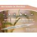Acupressure Pen - 1/2 mm Acupuncture Massage Sticks | Deuser Sticks for Pain Relief & Relaxation | International Shipping Available - Buy Online on GoSupps.com