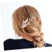 Ipetboom Hair Barrettes Hair Clip Tiara Hair Pin Barrettes for Women Barrettes for Thick Hair Accessories Bride Cheongsam Plastic - Buy Online on GoSupps.com