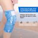 Kniebandage f r Damen & Herren - 2 St ck Kniesch tzer mit verstellbaren Riemen & rutschfestem Silikon | Sport Laufen Arthritis Gelenkschmerzen Bandverletzung | XL Hellblau - Buy Online on GoSupps.com