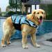 Buy Dog Life Jacket | Swimming Safety Vest for Small & Large Dogs | Blue Flower (L) - Buy Online on GoSupps.com