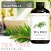 Brooklyn Botany Tea Tree & Cedarwood Essential Oils 4 Fl Oz (Pack of 2) 100% Pure & Natural Grounding & Clarifying Aromatherapy Blend - Buy Online on GoSupps.com