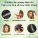 Organic Rosemary Oil for Hair Growth | 100% Pure & Natural | Cold Pressed | Hexane Free | Hair Strengthening Treatment with Jojoba & Castor Oil (8 Fl Oz - Buy Online on GoSupps.com
