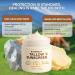 Beef Tallow Sunscreen with Clear Zinc: Non-Toxic SPF 30 Sunscreen for Face & Body Natural Sunblock with Nourishing Tallow & Botanical Extracts (2 Fl Oz (Pack of 1)) - Buy Online on GoSupps.com
