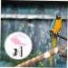 OATIPHO 1 Set Bird Leash Suspend Parrot Flying Harness Bird Flying Bird Harness and Leash Strap Lizard 12X6X1.3CM Pink - Buy Online on GoSupps.com
