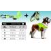 Shop Patented Bike & Dog Leash Set - XL Yellow Dog Harness & 3-Ring Dishes for Biking Adventures - Buy Online on GoSupps.com