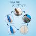 AQUAGE SeaExtend Strengthening Shampoo - Mineral-Rich Bio-Strengtheners & Algasilk for Stronger Hair - 8 oz | International Shipping Available - Buy Online on GoSupps.com