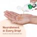 Buy Ayurvedic Baby Massage Oil & Herbal Natural Baby Wash - 18 Herbal Extracts Almond & Avocado - 200 ml International Shipping - Buy Online on GoSupps.com