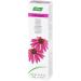 Buy A.Vogel Echinacea Toothpaste 100g - Natural Herbal Oral Care for Immune Support | International Shipping Available - Buy Online on GoSupps.com