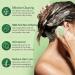 Tea Tree & Mint Shampoo Bar | All-Natural Sulfate-Free Hair Cleanser | Vegan & Zero-Waste | 3.2 oz - Buy Online on GoSupps.com