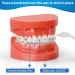 Braces Wax 10 Pack - Food-Grade Dental Wax Strips with Applicator Tool - Unscented/Mint + Aloe Vera + Vitamin E - Stick Better - Includes Storage Box - 350+ Dots - Separate Cases - Buy Online on GoSupps.com