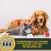 Emma Cat Vitamins 100ml | High Dose B Complex & Essential Nutrients for Immune Support | Vitamins A B12 D E Iron Zinc Selenium & L-Lysine - Buy Online on GoSupps.com