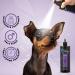GROOM PROFESSIONAL Duke Dog Cologne Spray - Dog Perfume Spray - Dog Spray for Smelly Dogs - Masculine Scent - Contains Chamomile Extracts to Soothe Sensitive Skin - Long-Lasting Scent 500ml 500 ml (Pack of 1) - Buy Online on GoSupps.com