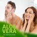 Aloe Life 99% Certified Organic Whole Leaf Aloe Vera Skin Gel - Vitamins C, A & E - Fragrance-Free (8 oz) - Buy Online on GoSupps.com