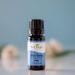 Buy Plant Therapy Blue Tansy Essential Oil 100% Pure - Natural Aromatherapy & Therapeutic Grade (10 mL) | International Shipping Available - Buy Online on GoSupps.com