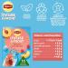 Lipton Cold Brew Cold Brew Peach and Raspberry Flavor Ideal for Iced Tea Refreshing Summer Drink 6x - Buy Online on GoSupps.com