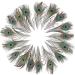 12 PCS Real Natural Peacock Eye Feathers 10-12 inch - DIY Craft & Wedding Decor - Buy Online on GoSupps.com