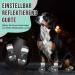 Slowton Dog Shoes - Breathable Non-Slip Boots for Small Medium & Large Dogs | Adjustable Reflective Velcro | Paw Protection (Size 6 - 4 Pack) - Buy Online on GoSupps.com