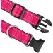 Joytale Reflective Dog Collar for Large Dogs - Hotpink L | Durable & Stylish (Pack of 1) - Buy Online on GoSupps.com