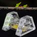 Ant Feeding Box Acrylic Transparent Ant Living Nest Ant Housing Nest Box Farm Insect Moisturizing Case Housing Home With Tweezers and Dropper - Buy Online on GoSupps.com