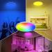 24W RGB LED Ceiling Lamp with Remote Control | Dimmable 4000K Color Change Panel for Kids' Bedroom Living Room & Bathroom - 29.5cm Peasur - Buy Online on GoSupps.com
