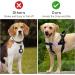 Vancle 2-Pack Airtag Dog Collar Case | Waterproof Silicone Protective Cover for Pets | Black & Dark Green Loop Holder - Buy Online on GoSupps.com
