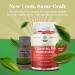 Vitamin D3 2000 IU Immune Support Gummies for Adults - Bone Strength, Heart Health, Immune System Supplement - 60 Count - Buy Online on GoSupps.com
