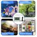 LXSZRPH Reptile Thermometer Hygrometer with High Low Temperature Alarm Digital Temperature Humidity Meter Gauge for Terrariums Vivariums Reptile Tanks (1) - Buy Online on GoSupps.com