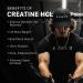 Kaged Muscle Creatine HCL (75 Serv) - Premium Lemon Lime - Boost Performance & Recovery - International Shipping Available - Buy Online on GoSupps.com