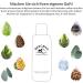 Bergbad 4 x 250ml Sauna Infusion - Alcohol-Free Soothing & Refreshing Blends: Ice Mint Eucalyptus Spruce Needle Maracuja | Perfect for Home & Travel Saunas - Buy Online on GoSupps.com