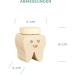 LAUBLUST Wooden Milk Tooth Box with Lid | Engraved Tooth Design & Smiley | Perfect Childhood Keepsake & Gift for Kids - Buy Online on GoSupps.com