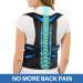 HFXBearArmor Posture Corrector- Adjustable Back Brace for Men and Women XL - Lumbar Support for Neck, Back, Shoulder Pain Relief - Buy Online on GoSupps.com