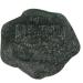 Uotyle Reptile Feeding Bowl Crawler Pet Feeding Round bowl Food Water Non-toxic Resin Dish Suitable for Reptile Turtle Tortoise Scorpion Lizard Crabs Pets Supplies Cyan Small - Buy Online on GoSupps.com