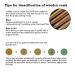 Natural Wood Wide Tooth Hair Comb for Scalp Massage and Acupoint Relief - Buy Online on GoSupps.com