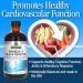 Nature's Answer Omega-3 with Black Seed Oil - 8 fl oz Orange | Premium Fish Oil Supplement - Buy Online on GoSupps.com