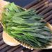 Th Vert Th Matcha Nature 100g Taiping Houkui bon th chinois