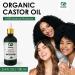 Seddy Organic Castor Oil - 100% Pure Cold Pressed | Premium Hair Growth & Skin Oil | Hexane-Free | 3.4 Fl. Oz Glass Bottle - Buy Online on GoSupps.com