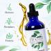 Natural Herbal Hair Growth Oil with Castor Oil for Thick, Healthy Hair - 4 oz - Buy Online on GoSupps.com