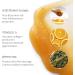 Elemental Herbology Facial Cleanser - Five Element Vital Cleanse with Vitamin C - Face Wash Cleanser Makeup Remover for All Skin Types - Brightens Skin & Reduces Redness - Cruelty Free - 100ml - Buy Online on GoSupps.com