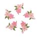 COHEALI 40 Pcs Embroidery Patches Girls Accessories Flower Clothes Patch Sewing Accessories 3d Kids Stickers As Shownx2pcs 0.1X3.5X4.2CMx2pcs