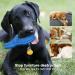 RUXAN Indestructible Dog Chew Toy - Squeaky Interactive Toy with Milk Flavor, Natural Rubber for Aggressive Chewers - Perfect for Small/Medium/Large Dogs - Buy Online on GoSupps.com