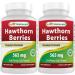 Best Naturals Hawthorn Berry 565 mg 180 Capsules (180 Count (Pack of 2))