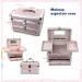 REME Small Pink Makeup Train Case with Trays and Drawer - Cosmetic Organizer and Jewelry Box - Buy Online on GoSupps.com