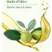 Le Petit Olivier Facial Scrub - Olive Pit Powder for Normal to Dry Skin 2.5 oz | Women's Skincare - Buy Online on GoSupps.com