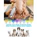 oneisall Professional Dog Clippers Kit - 2-Speed Cordless Trimmer for Thick Hair Grooming, Metal Blade for Dogs and Cats - Buy Online on GoSupps.com