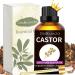 Organic Cold Pressed Castor Oil for Hair Eyelashes and Beard Growth - 3.38 fl oz Unrefined | Sedbuwza - Buy Online on GoSupps.com