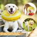 Protective Inflatable Recovery Cone Collar for Medium Large Dog Adjustable Soft Pet After Surgery Inflatable Neck Lemon Donut Collar Prevent from Puppy Touching Stitches Wounds Biting Scratching Not Block Vision (SizeM-Dog) - Buy Online on GoSupps.com