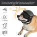 1 Small Pet Sunglasses Dog Overhead Goggles Pet Sunglasses Uv Protection Adjustable Elastic Headband (small Size) - Buy Online on GoSupps.com
