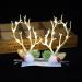 Christmas Luminous Antlers Hair Clips Luminous Antler Hair Clips LED Hair Accessories Reindeer Antlers Xmas Hairpins Xmas Glowing Hair Clips Glowing in The Dark Christmas Party Decorations(#2) - Buy Online on GoSupps.com