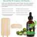 Kllalo Castor Oil Pack Kit | Organic Castor Oil & Reusable Wrap for Liver Detoxification | Adjustable Cotton Packs - Buy Online on GoSupps.com